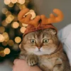 Mütze und Schal Weihnachts-Rentier-Haustier-Kostüm