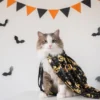 Katzenkostüm Halloween