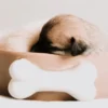 Hundekorb