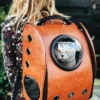 raoul-droog-Ea8rP2Ebp_4-unsplash_optimized