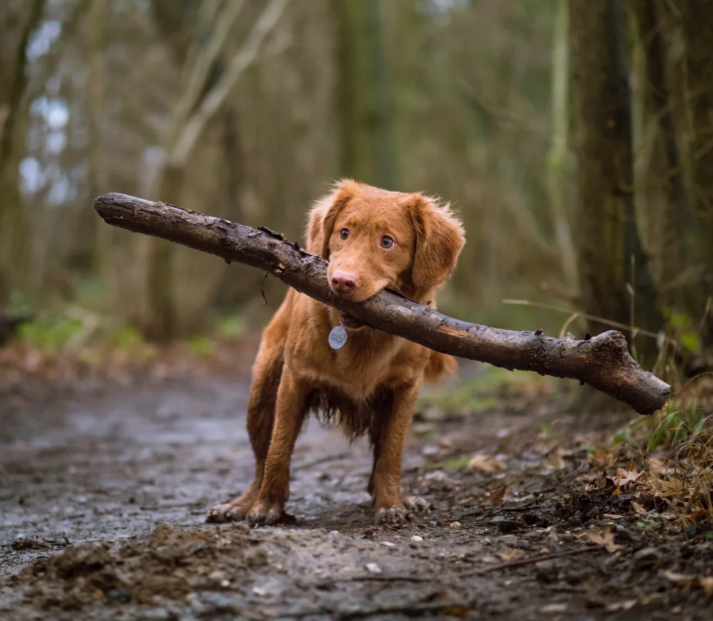 article-thumb-8_optimized