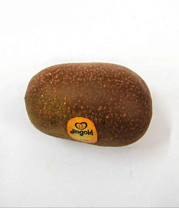Gold-Kiwi