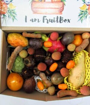 Obstkörbe 10