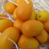 Kumquat