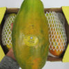 Papaya
