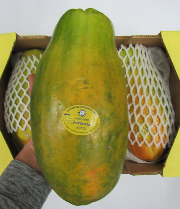Papaya