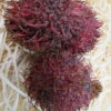 Rambutan