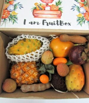Obstkörbe 13