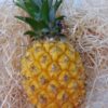 Baby-Ananas
