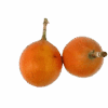 Granadilla