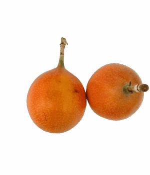 Granadilla