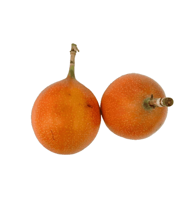 Granadilla
