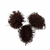 Rambutan