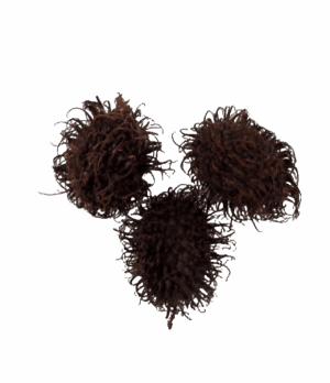 Rambutan
