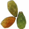 Kaktusfeige