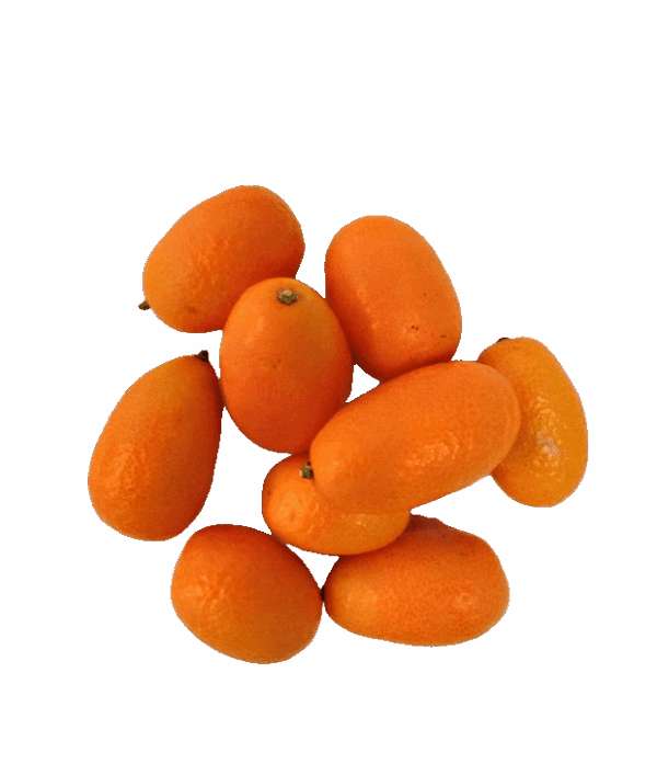 Kumquat