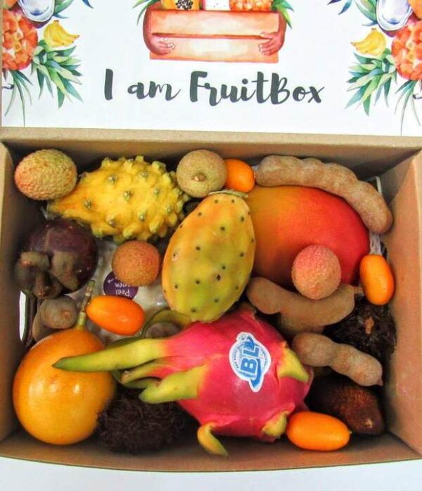 Obstkörbe 2