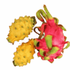 Rote Pitahaya