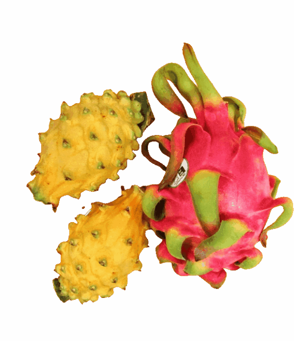 Rote Pitahaya