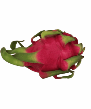 Rote Pitahaya