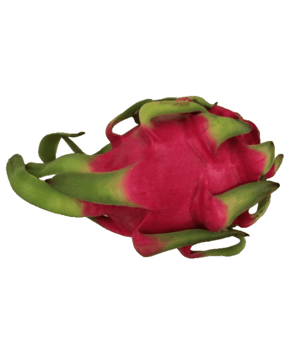 Rote Pitahaya
