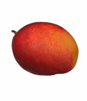 Königsmango