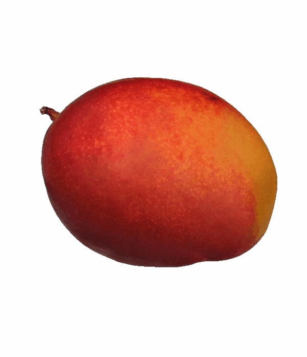 Königsmango