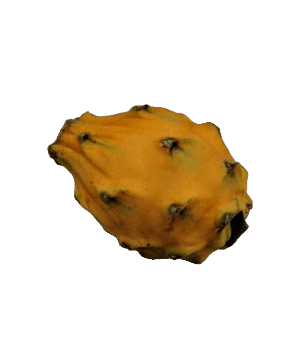 Gelbe Pitahaya
