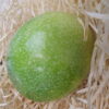 Große Maracuja