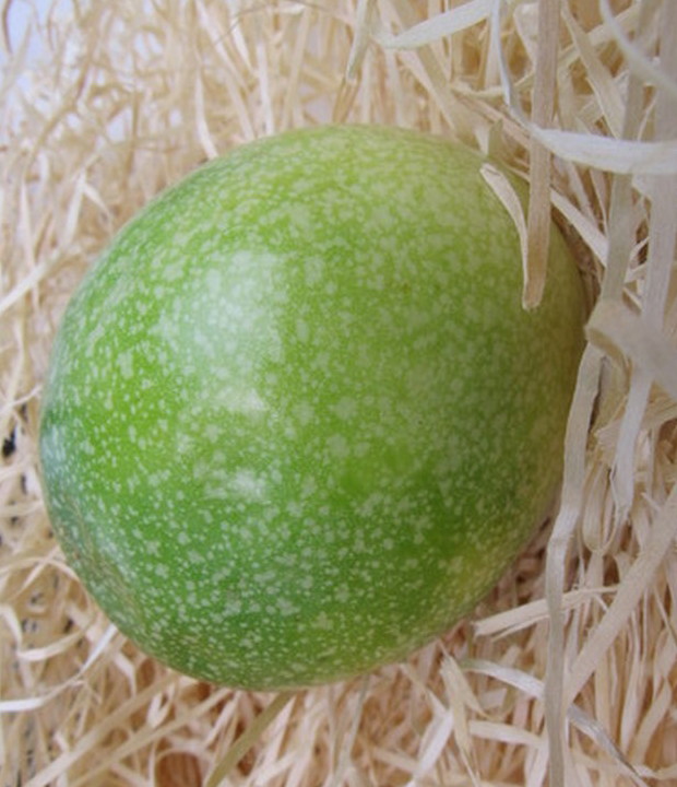Große Maracuja