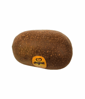 Gold-Kiwi