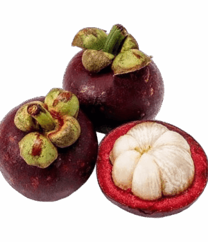 Mangostan