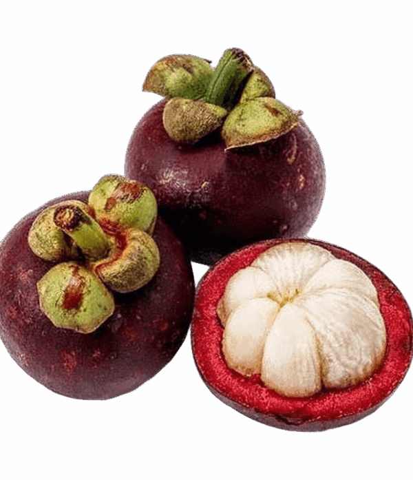 Mangostan