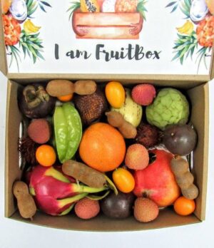 Obstkörbe 1