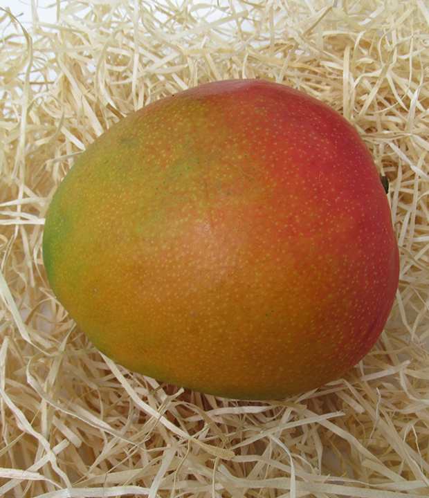 Königsmango