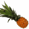 Baby-Ananas