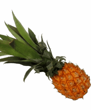 Baby-Ananas