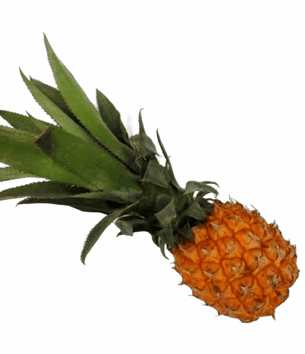 Baby-Ananas