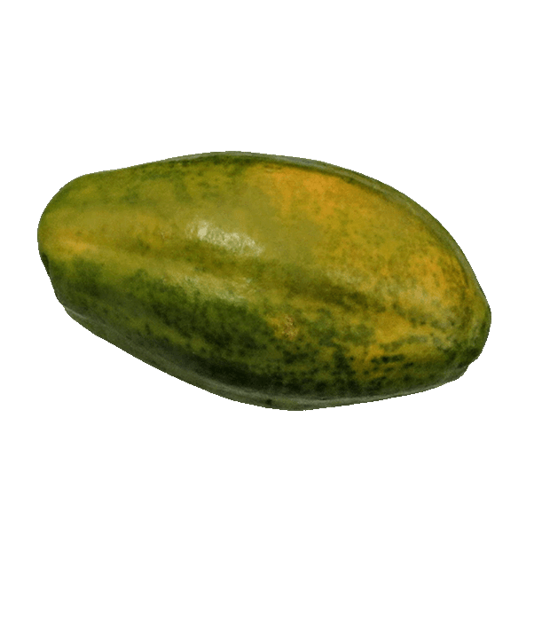 Papaya