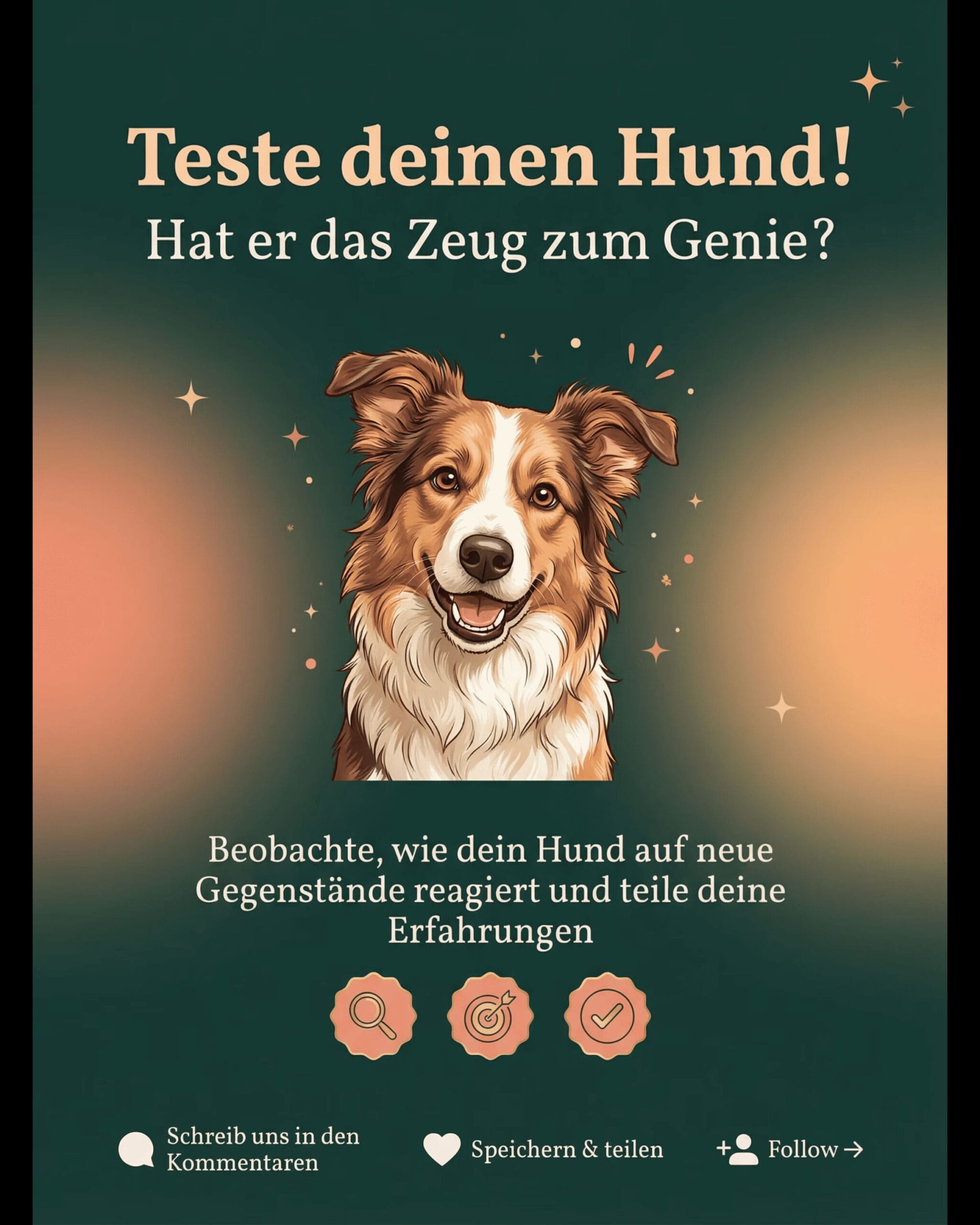 Hat dein Hund diese 3 Eigenschaften