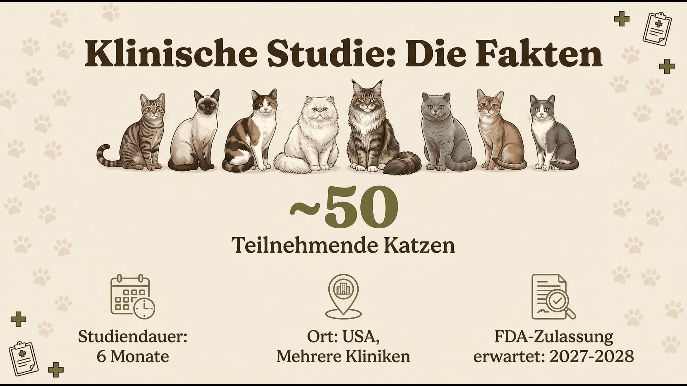 Klinische Studie- Die Fakten